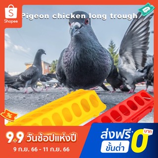 ถาดให้อาหารไก่ แบบ 14 หลุม สีสันสดใส สําหรับสัตว์