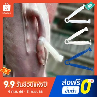 Pota คลิปหนีบสายสะดือ แบบใช้แล้วทิ้ง ขนาดเล็ก อเนกประสงค์ สําหรับหมู 20 ชิ้น