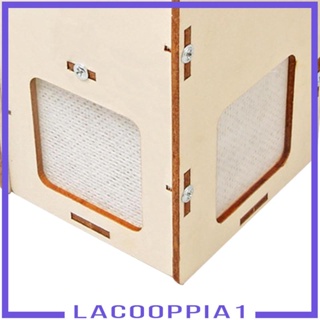 [Lacooppia1] ชุดทดลองวิทยาศาสตร์ แบบไม้ ของเล่นเพื่อการศึกษา สําหรับเด็ก ผู้ใหญ่