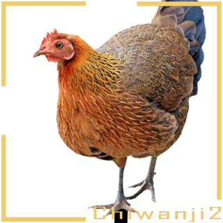 [Chiwanji2] ป้ายรูปปั้นไก่ สําหรับสวนหลังบ้าน ฟาร์ม