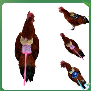 Vm เชือกลากจูง ระบายอากาศ สําหรับฝึกสัตว์เลี้ยง ไก่ เป็ด