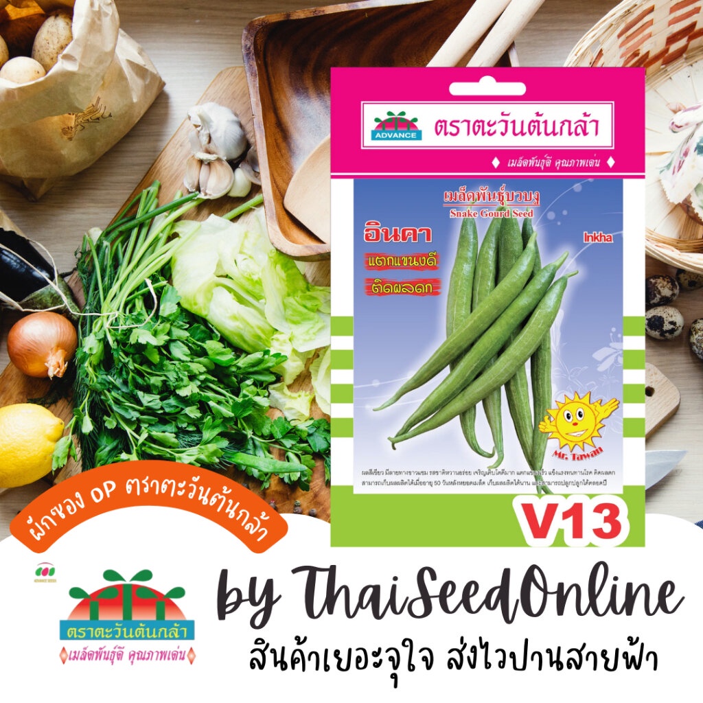 Advance Seeds(ตราตะวันต้นกล้า) ADVOP ซฟ เมล็ดพันธุ์ บวบงู อินคา ประมาณ 8 เมล็ด ตราตะวันต้นกล้า V13
