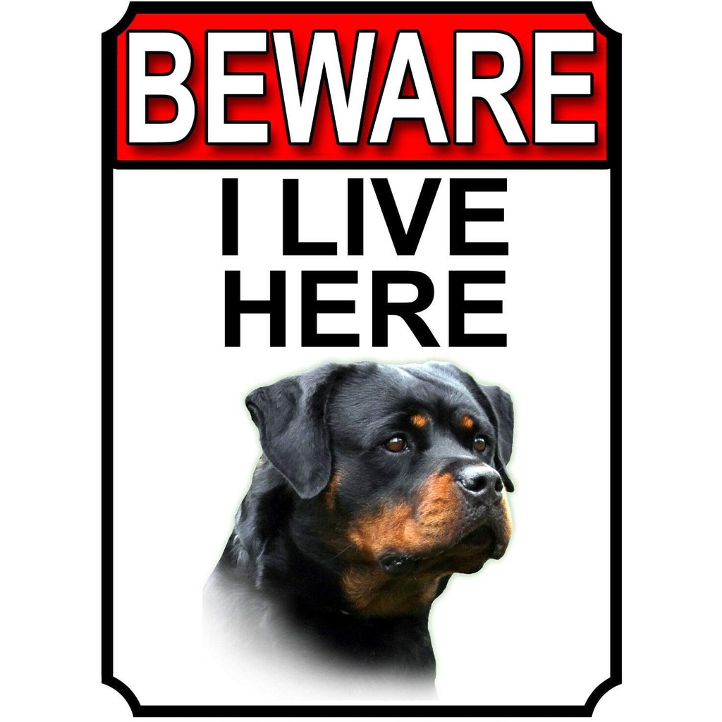 Nxsbns Rottweiler สุนัข Breed Gate ป้ายระวัง I Live ที่นี่ป้ายดีบุกโลหะ 12 "X 8 "รั้วลานสวน