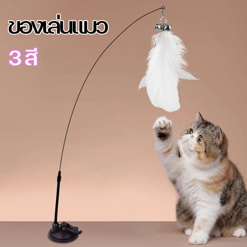 Cat toy ไม้แมว ไม่ล่อแมว ไม้ตกแมว ไม้ตกแมวแบบสปริง ขอเล่นแมว ไม้แหย่แมว