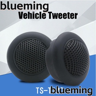 Blueming2 ลําโพงทวีตเตอร์ ความถี่สูง 89db TS-T120 อุปกรณ์เสริม สําหรับรถยนต์ 1 คู่