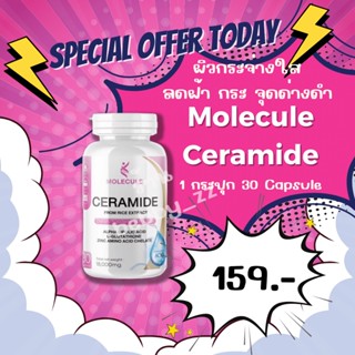 โปร 2 เเถม 2 เซราไมด์ จากสารสกัดข้าว Ceramide From rice extract (MOLECULE) ช่วยเติมน้ำหล่อเลี้ยงแก่ผิว  ร้าน Bebby_zz🌈