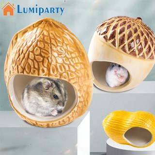 Lumiparty ที่นอนเซรามิค ทรงกลม หมุนได้ 360 องศา สําหรับหนูแฮมสเตอร์