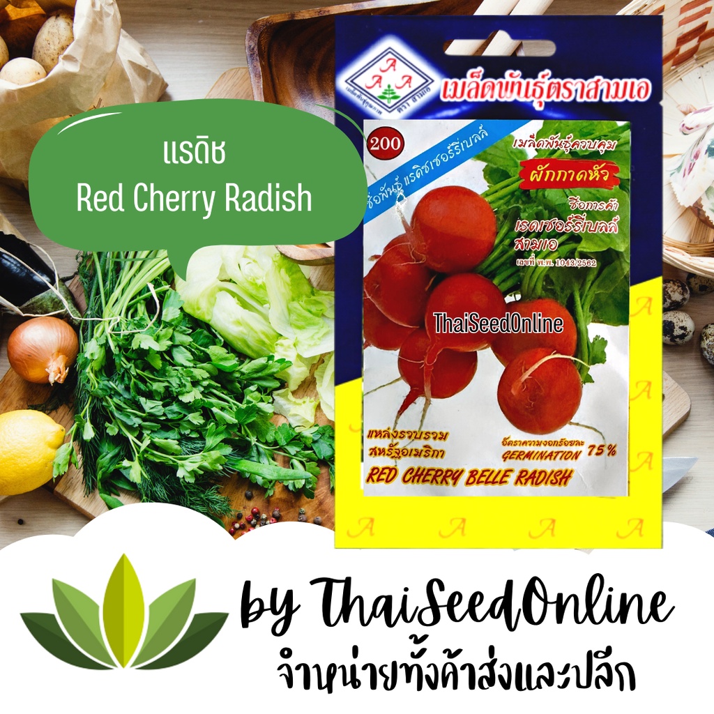 3A(สามเอ) 3A เมล็ดพันธุ์ แรดิช ตราสามเอ (AAA）