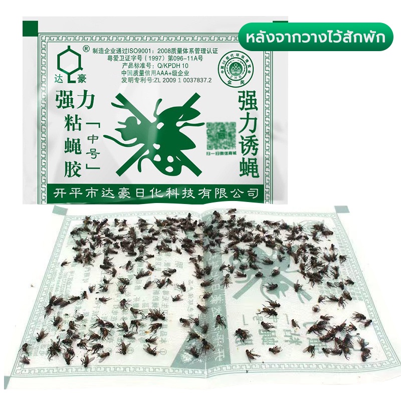กาวดักแมลงวัน ที่ดักแมงวัน ที่ดักแมงวัน​แพ็คละ 1 แผ่น