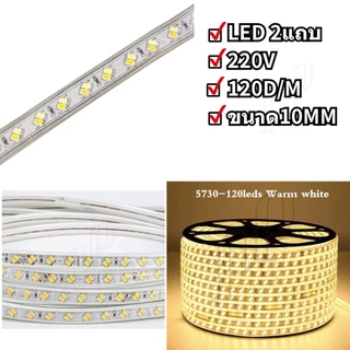 ไฟเส้น ไฟสายยาง LED Strip220V สีวอร์ม 30M 50M 100M ซ่อนฝ้า ตกแต่ง ต่อไฟบ้าน ตัดได้ทุก1M กันน้ำ