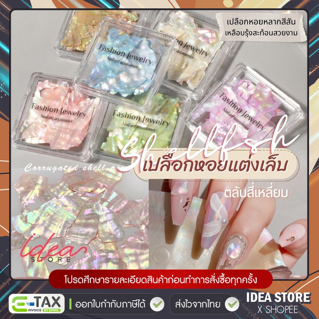 เปลือกหอยธรรมชาติ ตกแต่งเล็บ มีให้เลือก 6 แบบ ( รหัส NTSHELL ) เปลือกหอยแต่งเล็บ เปลือกหอย อะไหล่ตกแต่งเล็บ พร้อมส่ง!