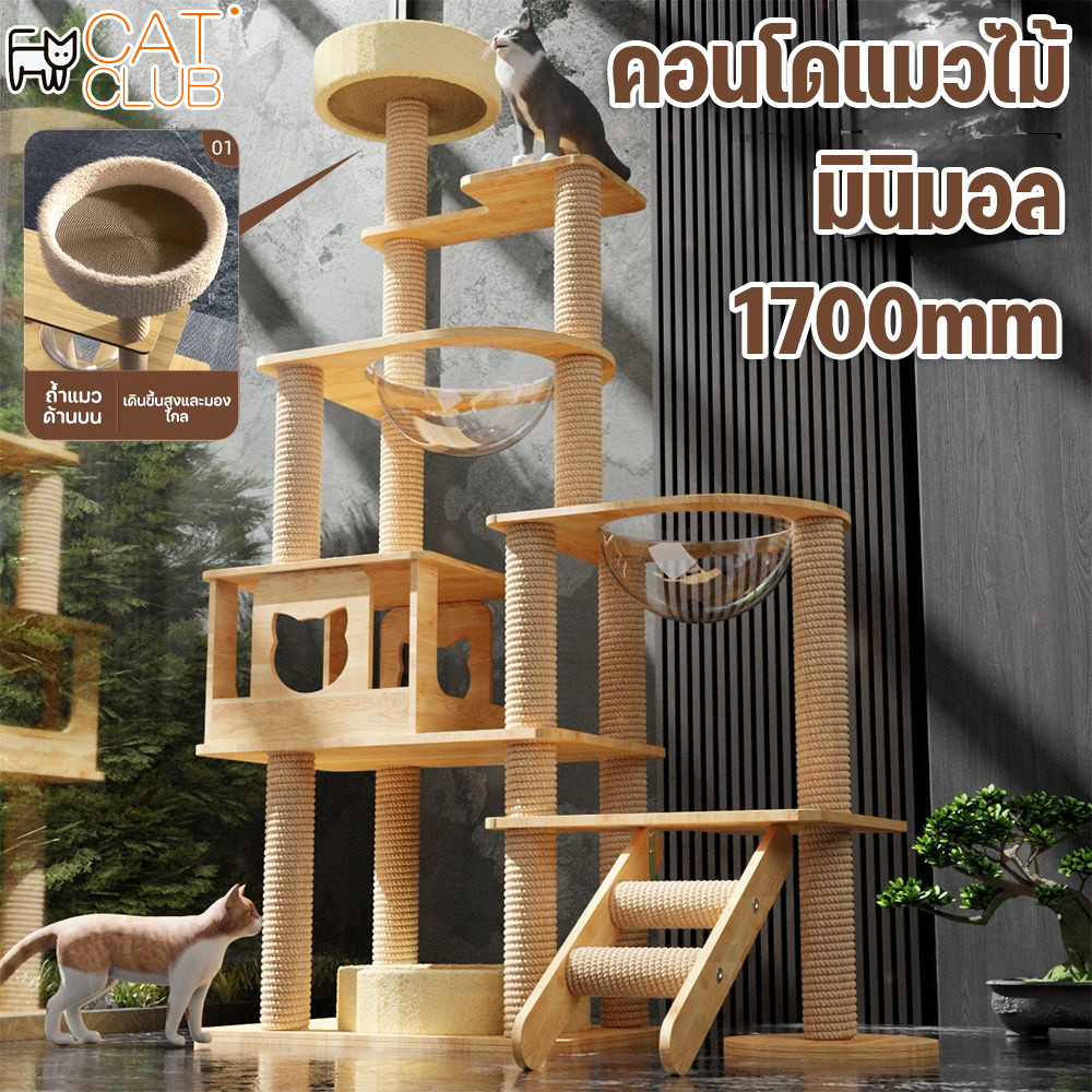 CAT CLUB คอนโดแมวหลังใหญ่หลายดีไซน์ ไม้สวยไร้เหลี่ยมคม คอนโดไม้ ที่นอนแมว คอนโดแมวไม้ มินิมอล