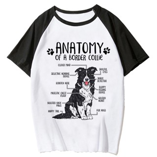 เสื้อยืด พิมพ์ลายมังงะ Border Collie สําหรับผู้หญิง