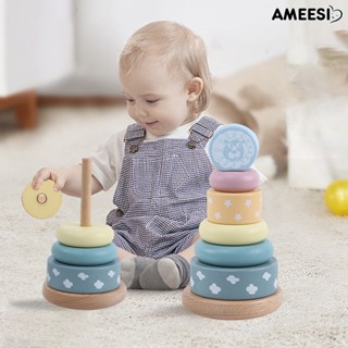 Ameesi หอคอยสีรุ้ง ซ้อนกัน ของเล่นสนุก การออกแบบแก้วน้ํา การประสานงานทางตรรกะ ตามือ ความคิดเชิงตรรกะ ของเล่นสําหรับเด็ก การพัฒนาการทางประชาน