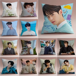 Cha Eun Woo ปลอกหมอนอิง พิมพ์ลายสุนัข ด้านเดียว สําหรับห้องนั่งเล่น โซฟา รถยนต์ ของขวัญเด็ก (ไม่มีแกน)