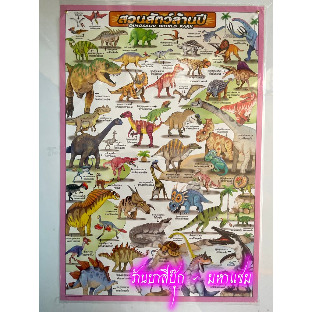 ภาพโปสเตอร์สวนสัตว์ล้านปี - [No.105] - (ขนาด 53x78 cm กระดาษอาร์ตมัน 4 สี แบบหุ้มพลาสติก) แผ่นภาพประกอบการศึกษา มีภาพ...