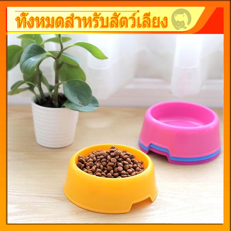 [พร้อมส่ง] ชามอาหารหมา ชามข้าวแมว ชามอาหารสัตว์เลี้ยง ใส่อาหารสัตว์เลี้ยงขนาด13.7x4.5 cm