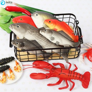 ISITA โมเดลกุ้งก้ามกราม เสมือนจริง สําหรับตกแต่งร้านค้า 1 ชิ้น