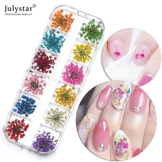 JULYSTAR เล็บ 12 สีดอกไม้คริสตัลดอกไม้ลูกไม้ดอกไม้สามมิติสีกลีบเล็บตกแต่ง