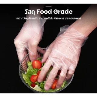 ถุงมือ TPE แบบกล่อง 100 ชิ้น Food Grade แบบพีวีซี เหนียว ไม่ขาดง่ายสำหรับ ทำอาหาร พร้อมส่งจากไทย