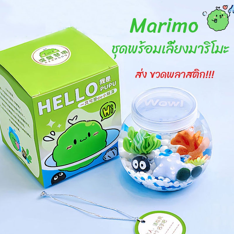 พร้อมส่ง ✅  มาริโมะ เหมาะสําหรับให้เป็นของขวัญสําหรับคนที่รัก Marimo