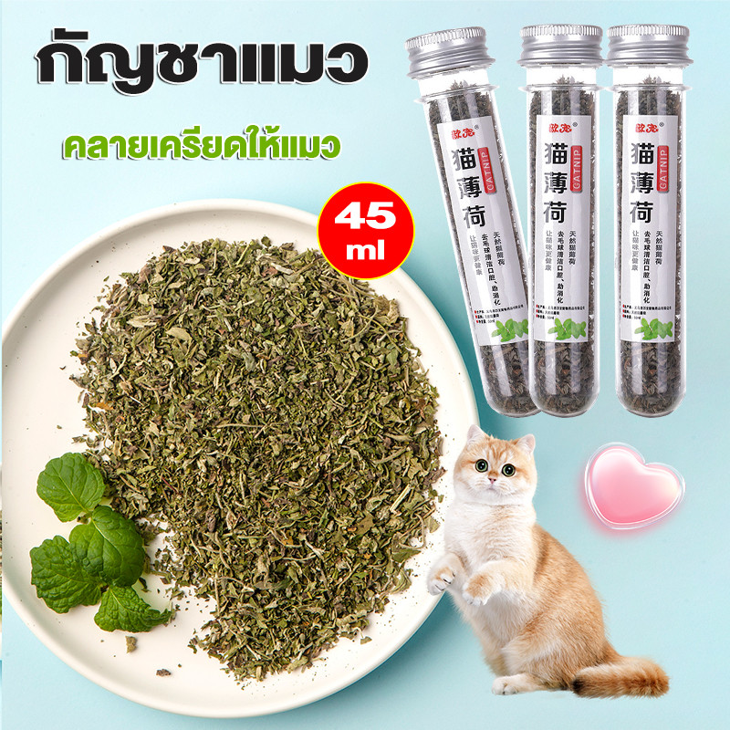 กัญชาแมว Catnip 45ml คลายเครียดให้แมว บบผงขนาด เป็นหลอด แคทนิป
