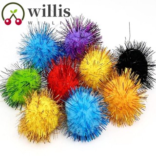 Willis ลูกบอลกลิตเตอร์ ของเล่นสําหรับฝึกสัตว์เลี้ยง สุนัข แมว 50 ชิ้น