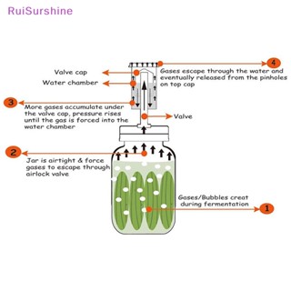 Ruisurshine ชุดวาล์วหมักขวดโหลปากกว้าง สําหรับหมักอากาศ