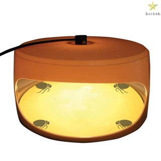 Flea Trap Light - Illuminating Flea Catcher with 2 Glue Discs for Optimal Performance