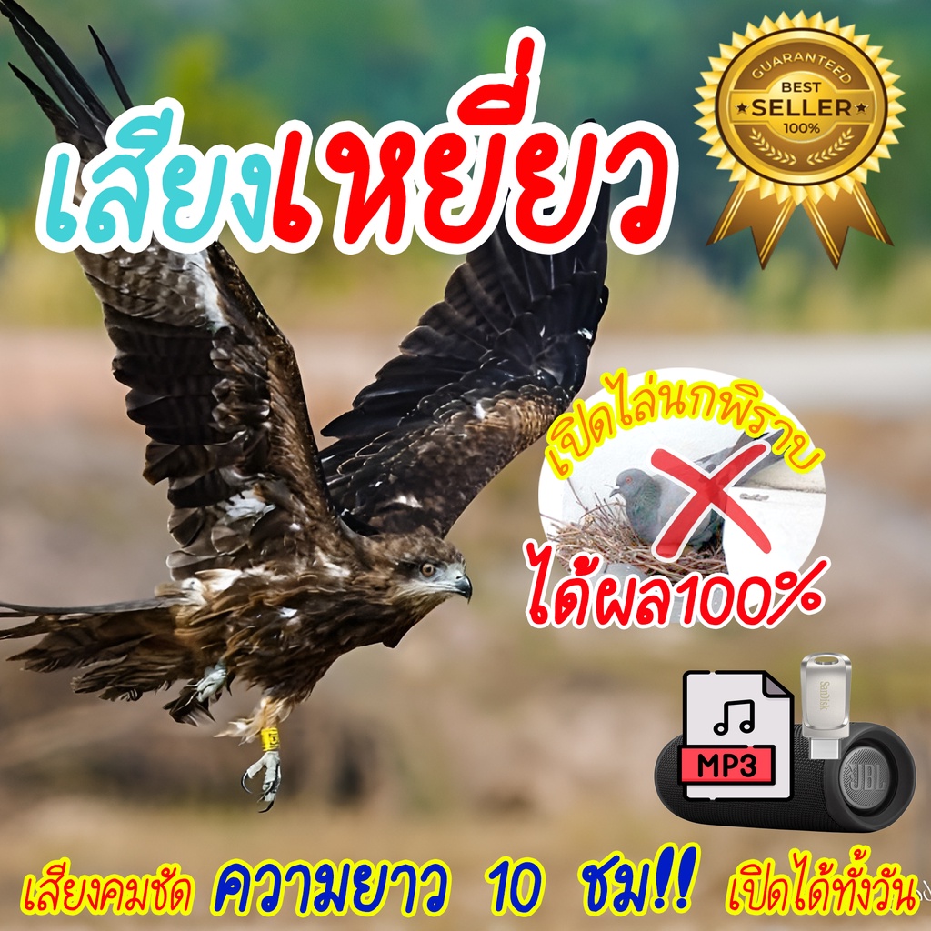 เสียงเหยี่ยว แฟลชไดร์ฟ USB สำหรับเปิด เสียงไล่นกพิราบ และทุกชนิด ลองแล้วชัวร์ 100%  คลิปยาว10 ชั่วโมง เสียงคมชัด