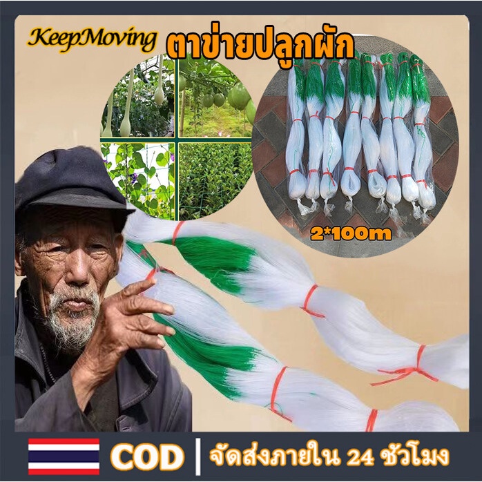 ตาข่ายปลูกผัก 2x100m โครงไม้เลื้อย เอ็น อุปกรณ์ทำสวน ของแต่งสวน อวนแตง ตาข่ายไม้เลื้อย