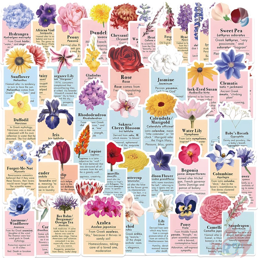 ❉ Flower Language Art Series 01 Stickers ❉ 50Pcs/Set Waterproof DIY Decals Doodle Stickers
