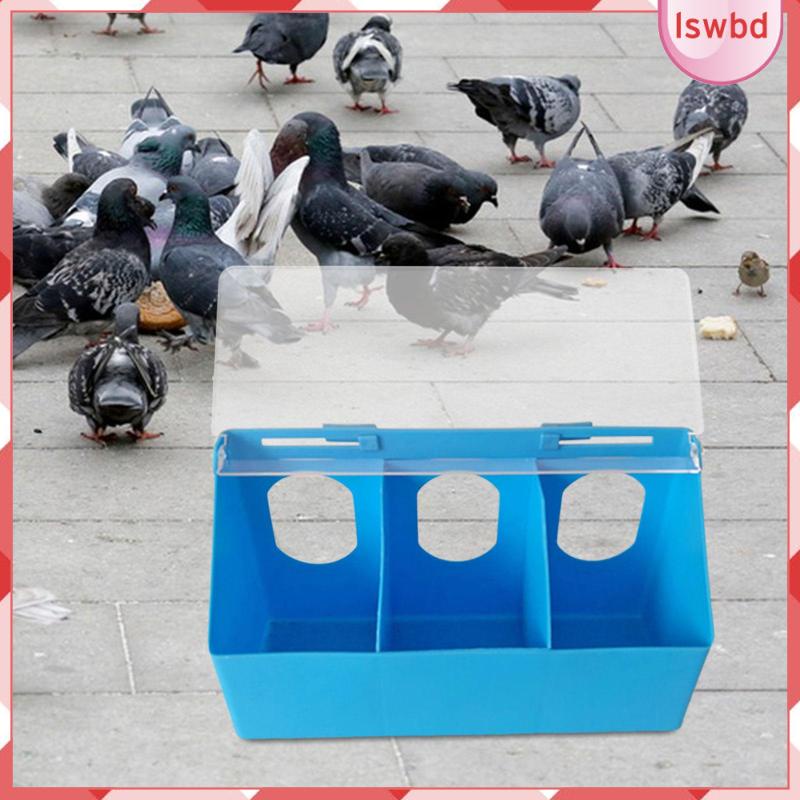 [lswbd] กล่องให้อาหารนกพิราบ แบบแขวน สําหรับนกแก้ว นกพิราบ นกพิราบ นกพิราบ