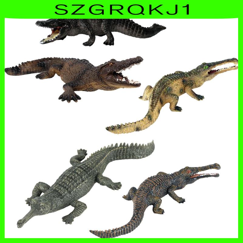 [szgrqkj1] โมเดลตุ๊กตาจระเข้ เสมือนจริง ของเล่นเสริมการเรียนรู้ สําหรับเด็กผู้ชาย ของขวัญปีใหม่