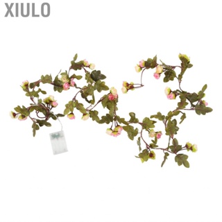Xiulo Flower Rattan String Light Decor  Powered 20  Lights Lamp