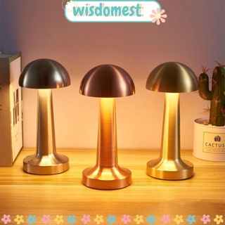 Wisdomest โคมไฟตั้งโต๊ะ LED ไร้สาย ป้องกันดวงตา สไตล์โมเดิร์น สําหรับโรงแรม