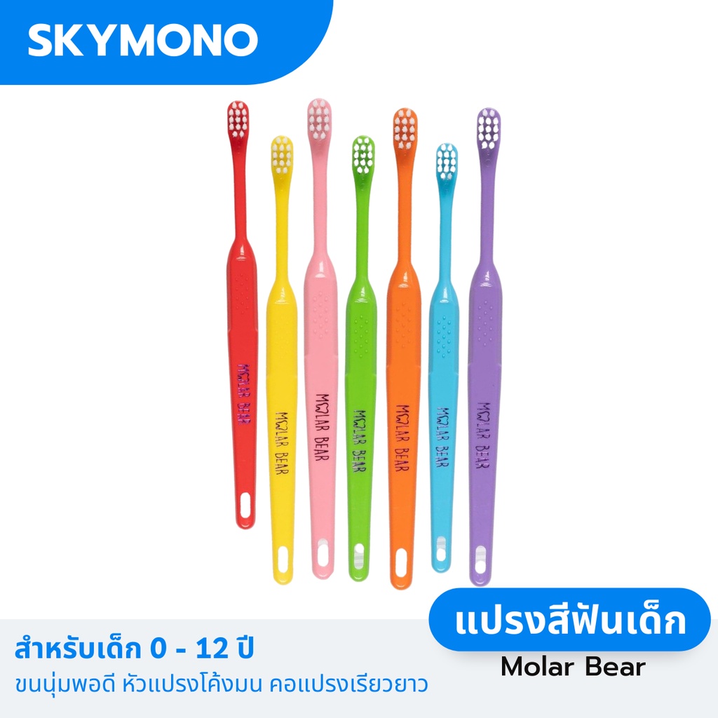 แปรงสีฟันเด็ก MOLAR BEAR (เด็กเล็ก 0-3 / 3-6 ปี) ขนนุ่มพอดี หัวแปรงเรียวยาว คอแปรงเรียวยาว