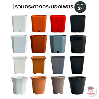 รวมกระถาง 2 นิ้ว กระถางพลาสติก แคคตัส กระบองเพชร ไม้อวบน้ำ C…