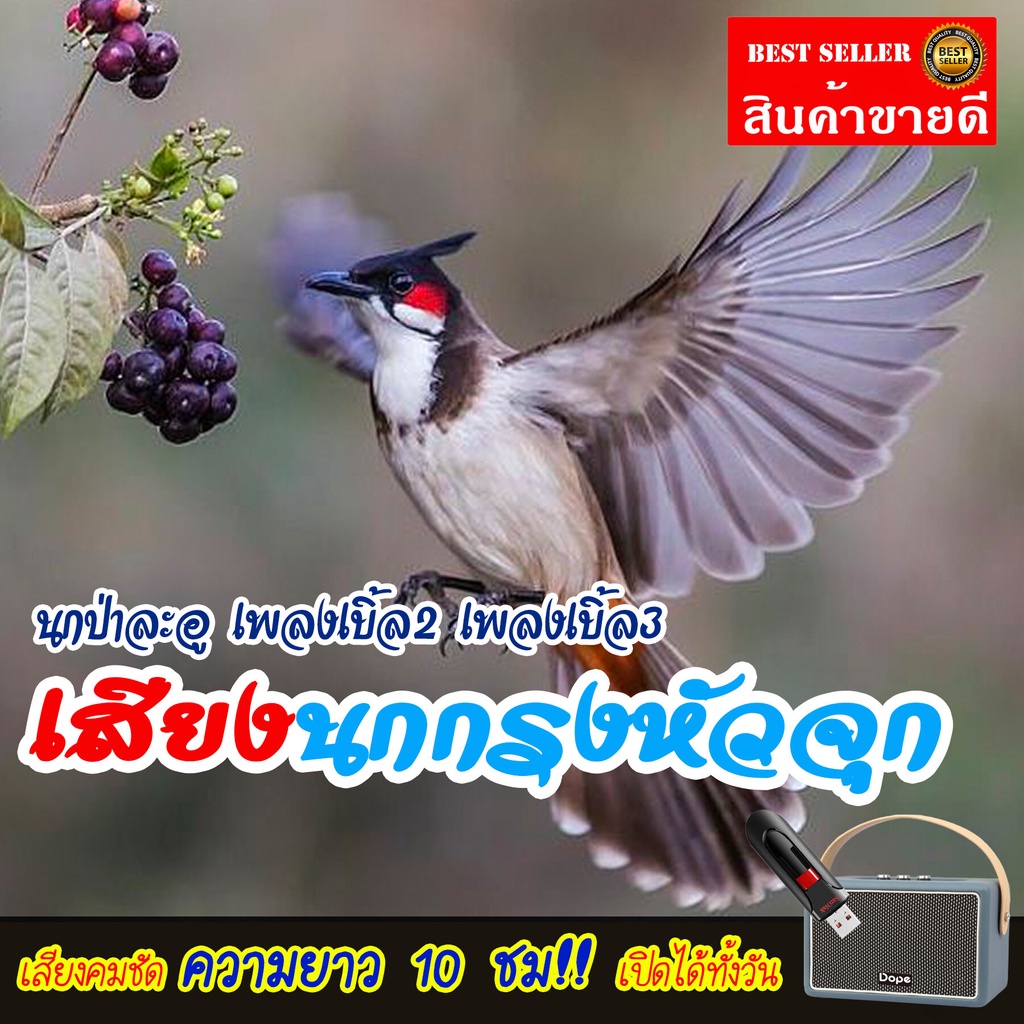 เสียงนกกรงหัวจุก นกป่าละอู เพลงเบิ้ล2 เพลงเบิ้ล3 แฟลชไดร์ฟ USB เสียงดังฟังชัด เปิดให้นกคึก เสียงนกแท้ เสียงดังฟังชัด100%
