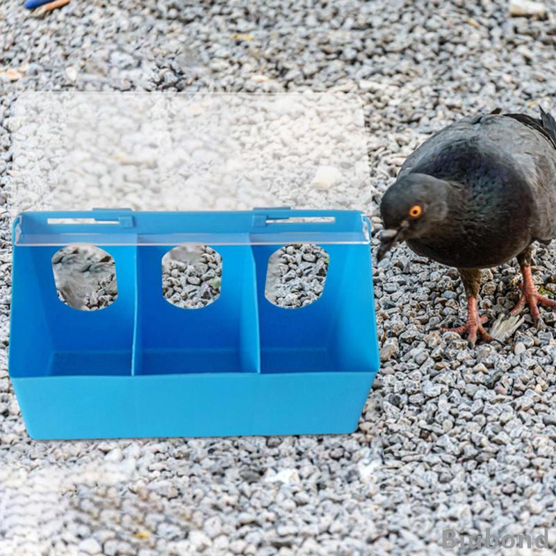 [Biubond] กล่องให้อาหารนกพิราบอัตโนมัติ แบบแขวน สําหรับกรงนกแก้ว
