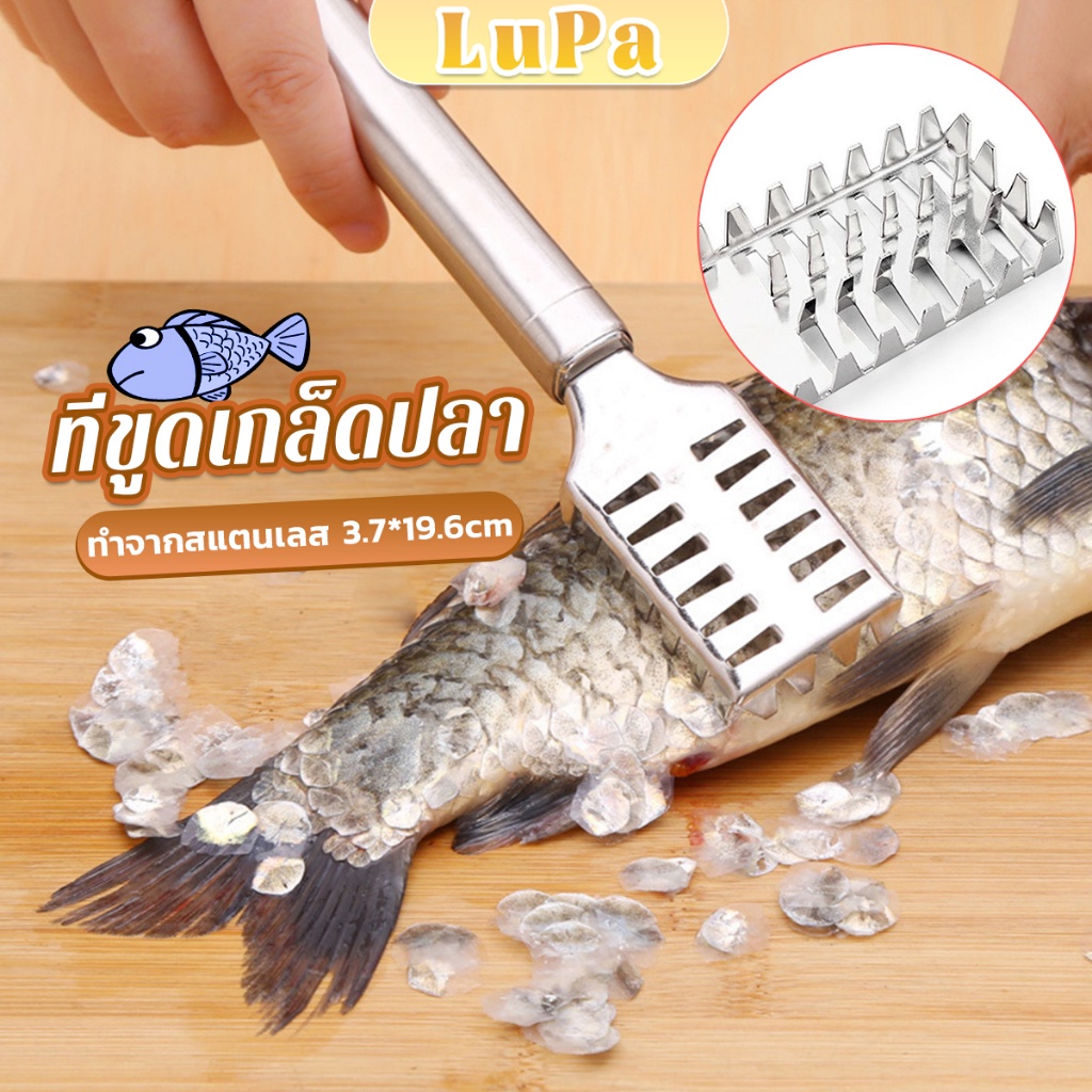 LuPa ที่ขูดเกล็ดปลา ที่ขอดเกล็ด สแตนเลส เครื่องใช้ในครัว Fish scale scraper
