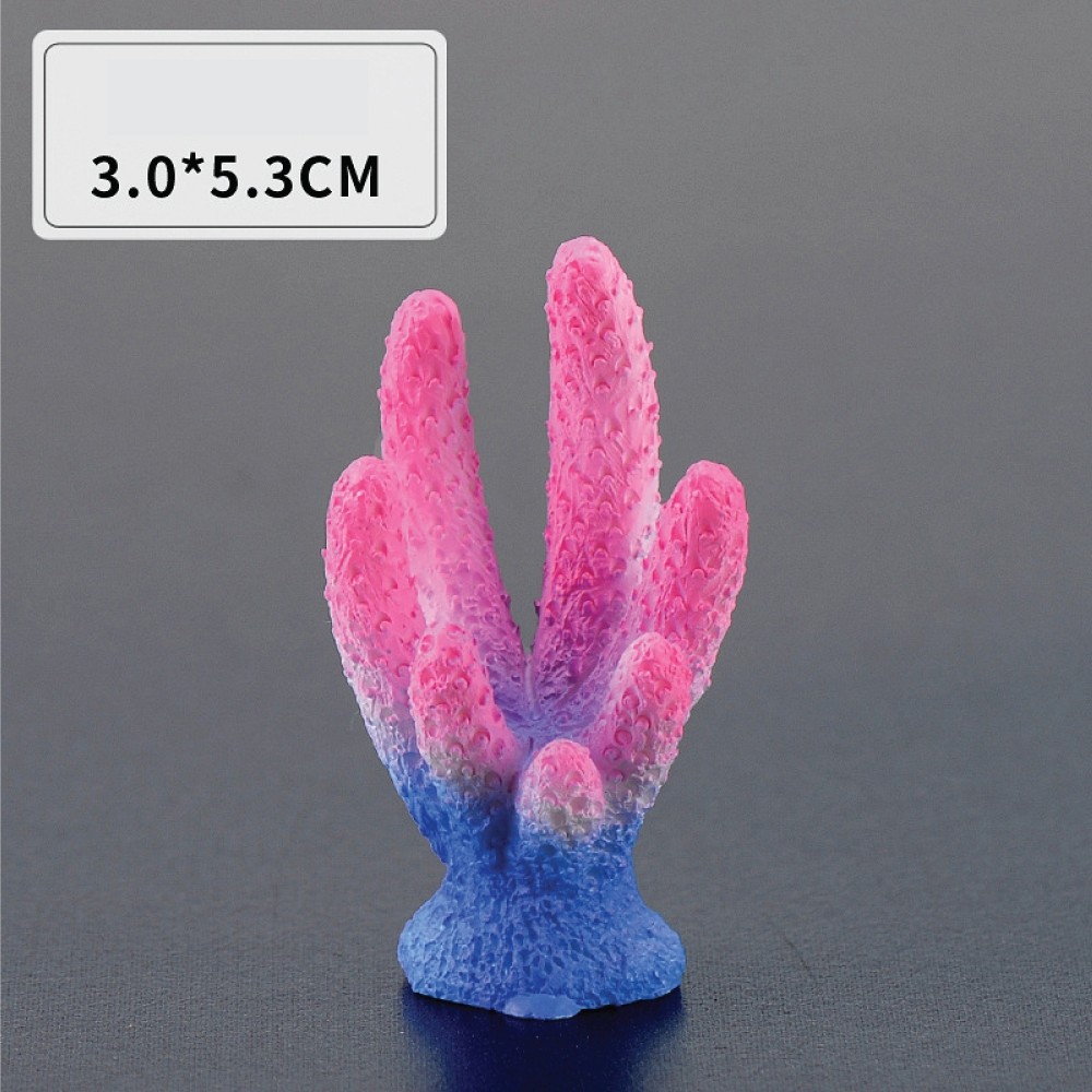 รูปภาพ 7