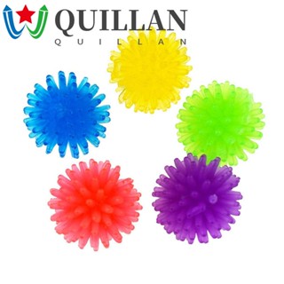 Quillan ของเล่นลูกบอลบีบสกุชชี่ สีสันสดใส สําหรับแมว