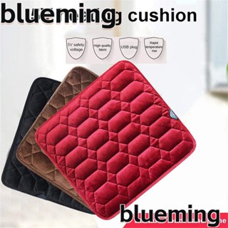 Blueming2 ผ้าคลุมเบาะรถยนต์ไฟฟ้า ให้ความอบอุ่น หลากสี สําหรับฤดูหนาว