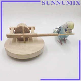 [Sunnimix] ของเล่นหินนกแก้ว เสริมการเรียนรู้ ขนาดเล็ก ขนาดกลาง