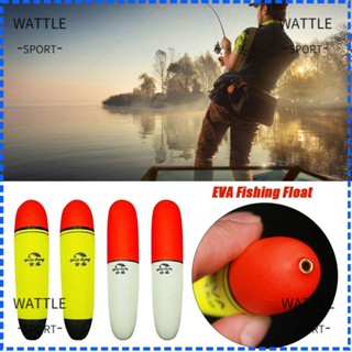 Wattle ทุ่นลอยน้ํา EVA เรืองแสง อเนกประสงค์ 20 กรัม-80 กรัม สําหรับตกปลาทะเล 3 ชิ้น