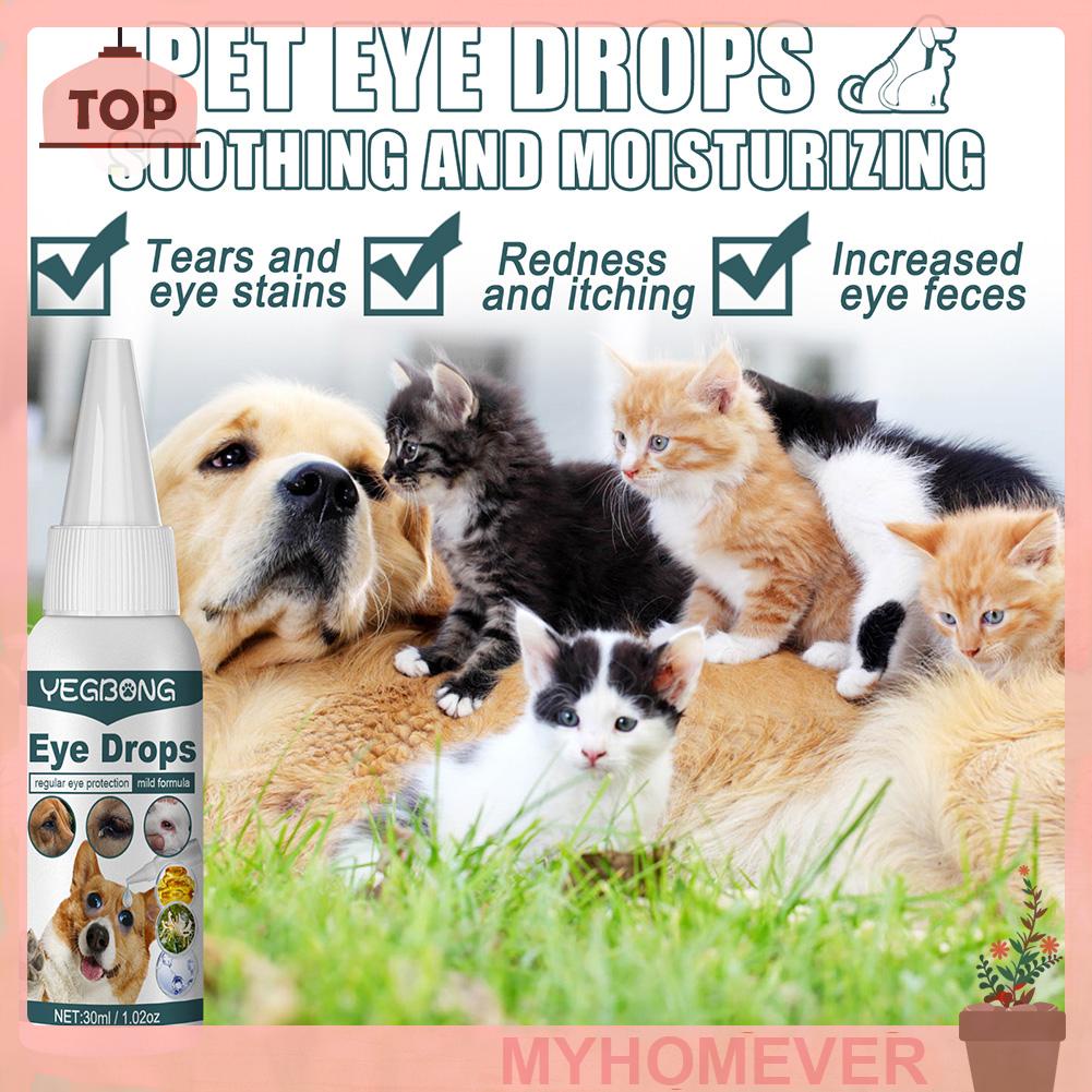 [myhomever.th] ยาหยอดตาสัตว์เลี้ยง ป้องกันอาการอักเสบ ขนาด 30 มล. สําหรับสุนัข
