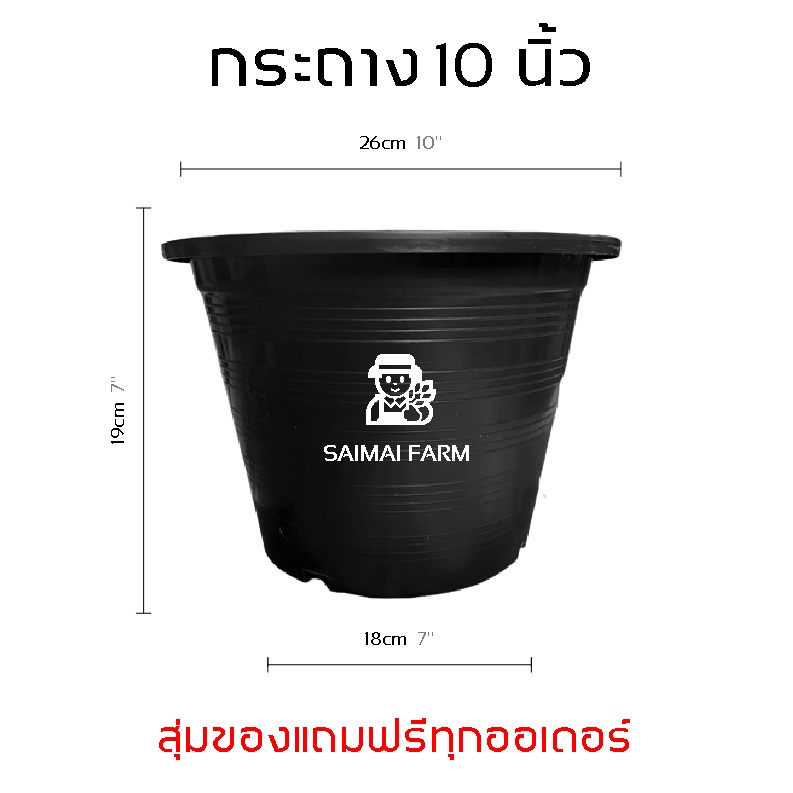 กระถาง พลาสติก สำหรับเพาะต้นไม้  ทรงกลม สีดำ 10 นิ้ว | [Shipping fee 1 baht] Plastic pots for planti