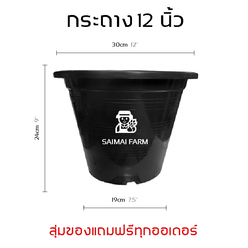 กระถาง 12 นิ้ว พลาสติก สำหรับเพาะต้นไม้ ทรงกลม สีดำ | [Shipping fee 1 baht] 12 inch plastic pot for 