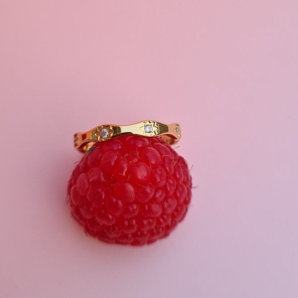 (WELRY.acc) พร้อมส่ง แหวนสแตนเลสลายดาว รุ่น Esther